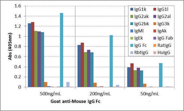 Anti-Mouse IgG Fc antibody, Goat monoclonal recombinant, expressed in HEK 293 cells, clone RMG06, purified immunoglobulin