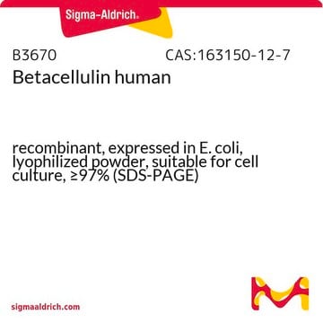 Betacellulin human recombinant, expressed in E. coli, lyophilized powder, suitable for cell culture, &#8805;97% (SDS-PAGE)