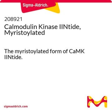 Calmodulin Kinase IINtide, Myristoylated The myristoylated form of CaMK IINtide.