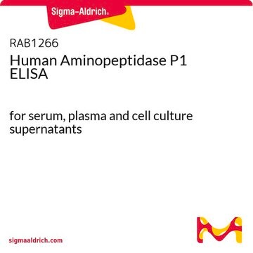 Human Aminopeptidase&nbsp;P1 ELISA for serum, plasma and cell culture supernatants