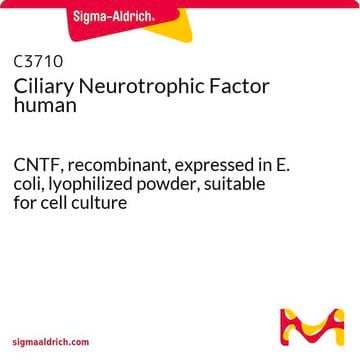 Ciliary Neurotrophic Factor human CNTF, recombinant, expressed in E. coli, lyophilized powder, suitable for cell culture