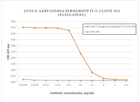 Anti-P. aeruginosa serogroup It-5 Antibody, clone PTA-5385