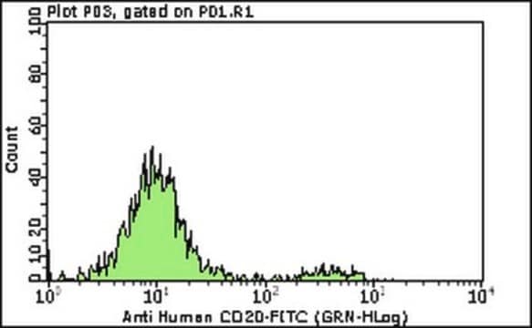 Milli-Mark Anti-CD20 -FITC Antibody, clone B-Ly1 clone B-Ly1, Milli-Mark&#174;, from mouse