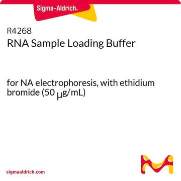 RNA 样品上样缓冲液 for NA electrophoresis, with ethidium bromide (50 &#956;g/mL)