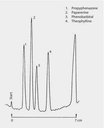 Chromatogram Detail