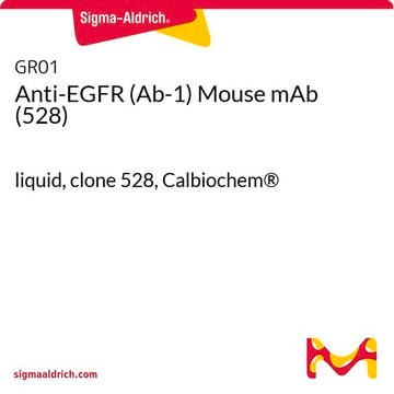 Anti-EGFR (Ab-1) Mouse mAb (528) liquid, clone 528, Calbiochem&#174;