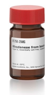 Rhodanese from bovine liver Type II, essentially salt-free, lyophilized powder, 100-300&#160;units/mg solid