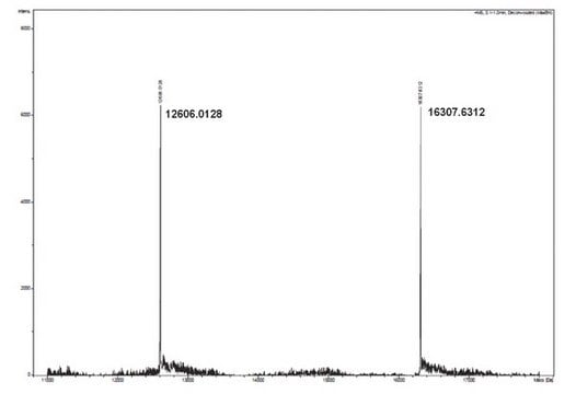 Human recombinant histone H3.3-H4 tetramers Human recombinant histone H3.3-H4 tetramers expressed in E Coli as fusion proteins with either an N-terminal FLAG or 6xHis epitopes &amp; purified by Fast Protein Liquid Chromatography (FPLC).