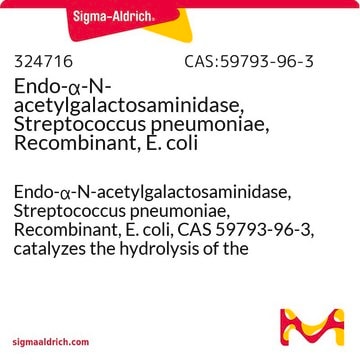 Endo-&#945;-N-acetylgalactosaminidase, Streptococcus pneumoniae, Recombinant, E. coli Endo-&#945;-N-acetylgalactosaminidase, Streptococcus pneumoniae, Recombinant, E. coli, CAS 59793-96-3, catalyzes the hydrolysis of the unsubstituted Gal&#946;1,3GalNAc core disaccharide attached to Ser or Thr.