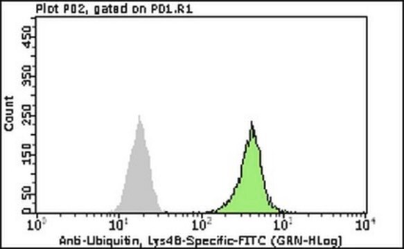 Milli-Mark® Anti-Ubiquitin Antibody, Lys48-Specific-FITC, clone Apu2 ...