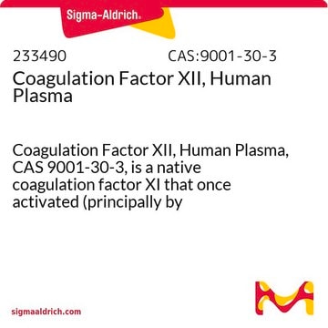 Coagulation Factor XII, Human Plasma Coagulation Factor XII, Human Plasma, CAS 9001-30-3, is a native coagulation factor XI that once activated (principally by kallikrein), is converted to Factor &#945;-XIIa.