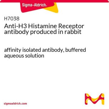 Anti-H3 Histamine Receptor antibody produced in rabbit affinity isolated antibody, buffered aqueous solution