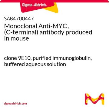 MYC（C端）单克隆抗体 小鼠抗 clone 9E10, purified immunoglobulin, buffered aqueous solution