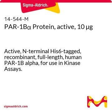 PAR-1B&#945; Protein, active, 10 &#181;g Active, N-terminal His6-tagged, recombinant, full-length, human PAR-1B alpha, for use in Kinase Assays.