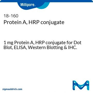 蛋白A，HRP结合物 1 mg Protein A, HRP conjugate for Dot Blot, ELISA, Western Blotting &amp; IHC.