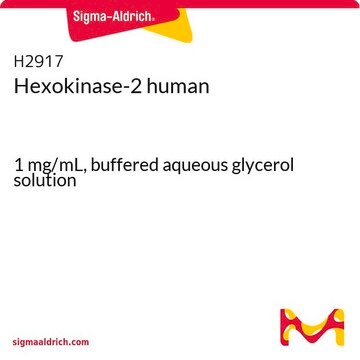 Hexokinase-2 human 1&#160;mg/mL, buffered aqueous glycerol solution