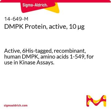 DMPK Protein, active, 10 &#181;g Active, 6His-tagged, recombinant, human DMPK, amino acids 1-549, for use in Kinase Assays.