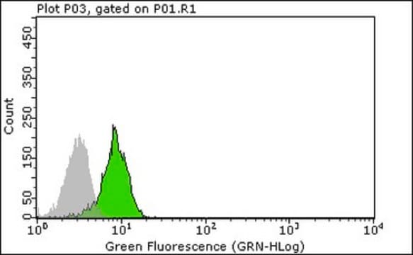 Anti-ASC Antibody, clone 2EI-7 clone 2EI-7, from mouse