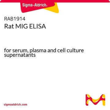 Rat MIG ELISA for serum, plasma and cell culture supernatants