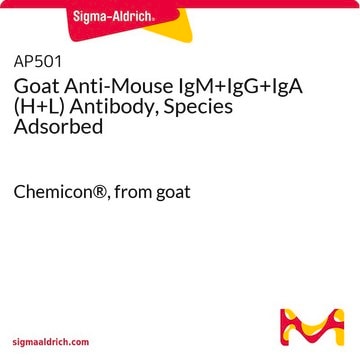 Anticorps de chèvre anti-IgM+IgG+IgA (chaînes&nbsp;H+L) de souris, correspondant aux espèces adsorbées Chemicon&#174;, from goat