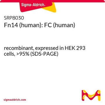 Fn14 (human): FC (human) recombinant, expressed in HEK 293 cells, &gt;95% (SDS-PAGE)