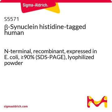 &#946;-Synuclein histidine-tagged human N-terminal, recombinant, expressed in E. coli, &#8805;90% (SDS-PAGE), lyophilized powder