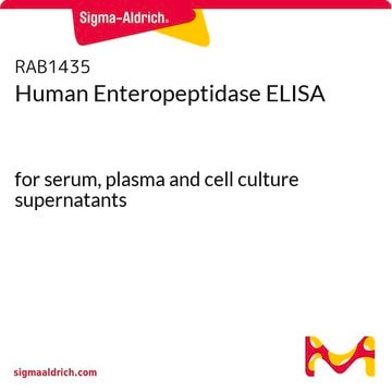 Human Enteropeptidase ELISA for serum, plasma and cell culture supernatants