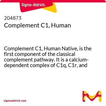 Complement C1, Human Complement C1, Human Native, is the first component of the classical complement pathway. It is a calcium-dependent complex of C1q, C1r, and C1s subcomponents.