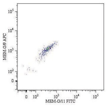 Monoclonal Anti-HLA-G-APC antibody produced in mouse clone MEM-G/9, purified immunoglobulin, buffered aqueous solution