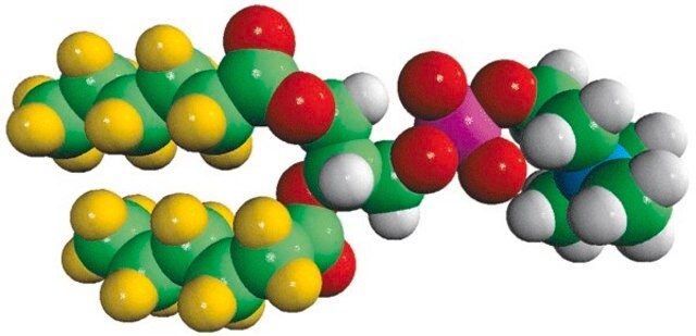 Choline head group | Sigma-Aldrich