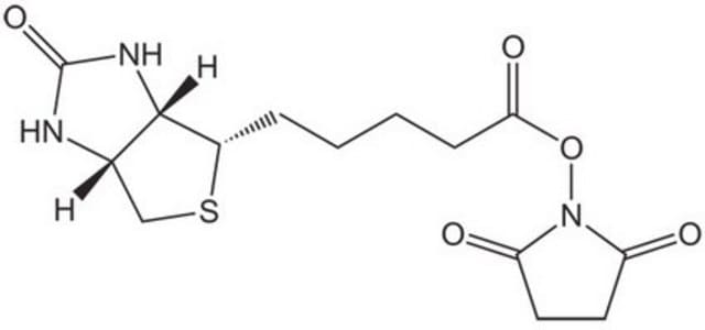 Biotin-OSu Novabiochem&#174;