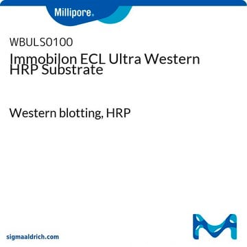 Sustrato HRP Immobilon ECL Ultra Western Western blotting, HRP