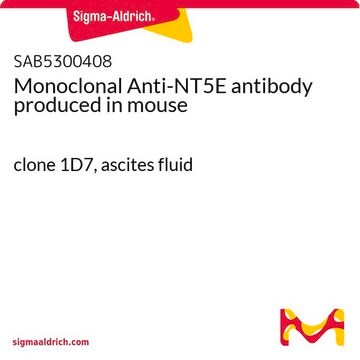 Monoclonal Anti-NT5E antibody produced in mouse clone 1D7, ascites fluid