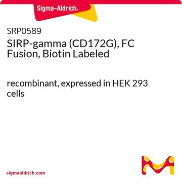 SIRP-gamma (CD172G), FC Fusion, Biotin Labeled recombinant, expressed in HEK 293 cells