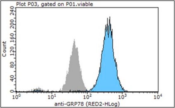 Anti-GRP78 Antibody, clone C38 clone C38, from mouse