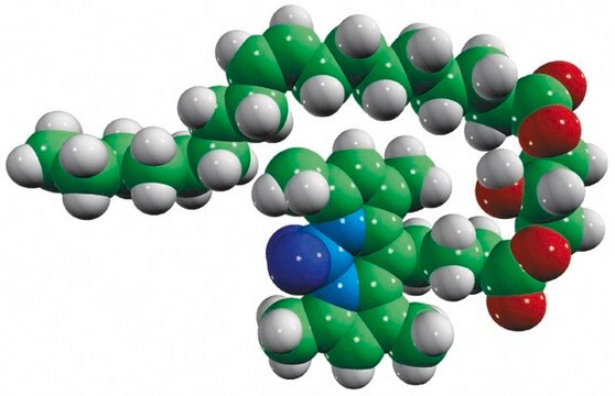 18:1-C4 TopFluor&#8482; DG Avanti Research&#8482; - A Croda Brand 810294P, powder