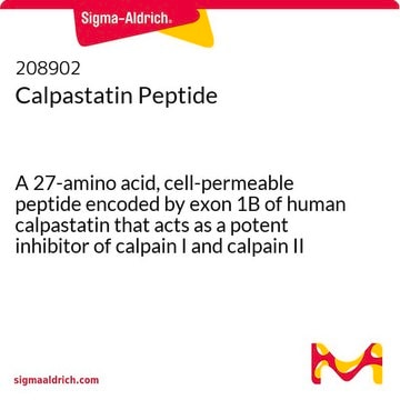 Calpastatin-Peptid A 27-amino acid, cell-permeable peptide encoded by exon 1B of human calpastatin that acts as a potent inhibitor of calpain I and calpain II (IC&#8325;&#8320; = 20 nM for purified rabbit calpain II).