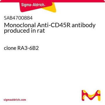 Monoclonal Anti-CD45R antibody produced in rat clone RA3-6B2