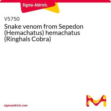 Snake venom from Sepedon (Hemachatus) hemachatus (Ringhals Cobra)