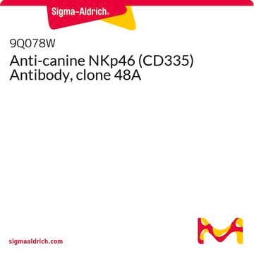 Anti-canine NKp46 (CD335) Antibody, clone 48A