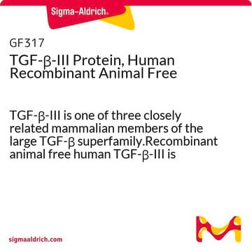 TGF-&#946;-III, protéine humaine recombinante, sans origine animale TGF-&#946;-III is one of three closely related mammalian members of the large TGF-&#946; superfamily.Recombinant animal free human TGF-&#946;-III is manufactured using all non-animal reagents.