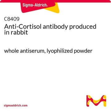 抗皮质醇 兔抗 whole antiserum, lyophilized powder