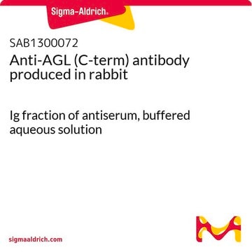 Glycogen enzyme | Sigma-Aldrich