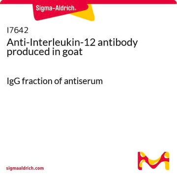 Anti-Interleukin-12 antibody produced in goat IgG fraction of antiserum