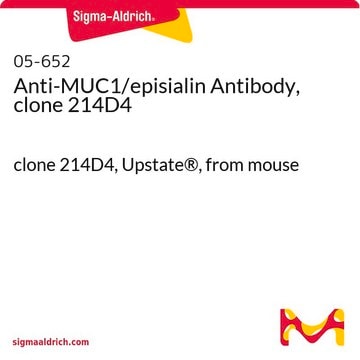 Anti-MUC1/episialin Antibody, clone 214D4 clone 214D4, Upstate&#174;, from mouse