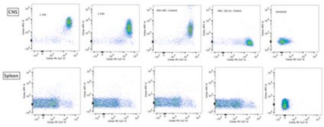 Anti-CD39 Antibody, clone 5E12 clone 5E12, 1&#160;mg/mL, from rat