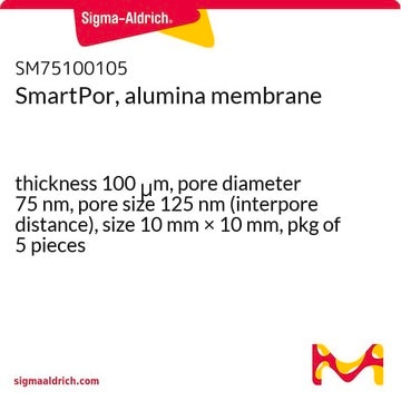 SmartPor, alumina membrane thickness 100&#160;&#956;m, pore diameter 75&#160;nm, pore size 125&#160;nm (interpore distance), size 10&#160;mm × 10&#160;mm, pkg of 5&#160;pieces