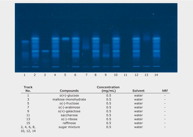 Chromatogram Detail