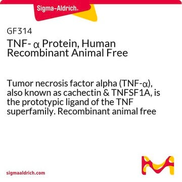 Proteína TNF-&#945; recombinante humana, sin productos de origen animal Tumor necrosis factor alpha (TNF-&#945;), also known as cachectin &amp; TNFSF1A, is the prototypic ligand of the TNF superfamily. Recombinant animal free human TNF-&#945; is manufactured using all non-animal reagents.