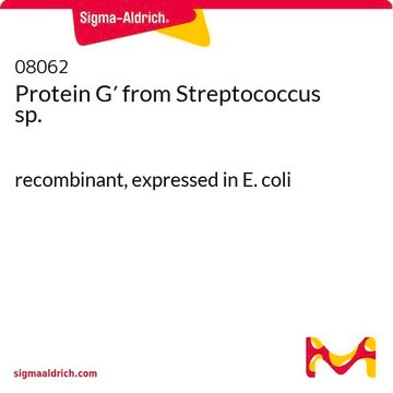 蛋白&#160;G&#8242; 来源于链球菌 属 recombinant, expressed in E. coli